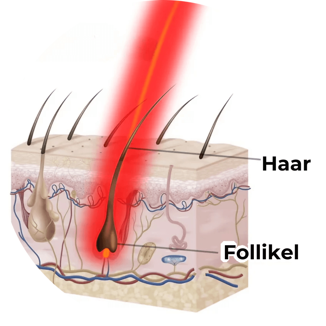 RejuvaCap™ Rood Licht Therapie Cap